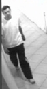 Se Busca