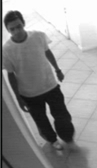 Se Busca
